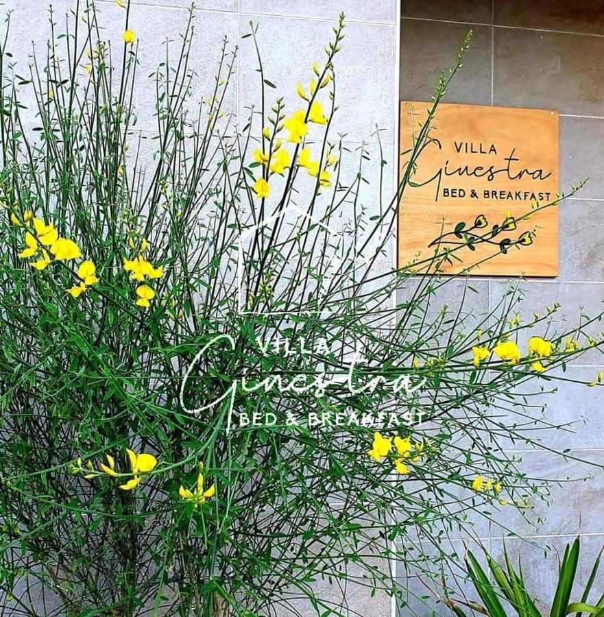 B&B Villa Ginestra Pescara Bagian luar foto